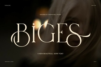 Font Design & Typography Projects for Biges